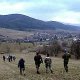 Čtvero ročních dob