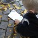 Schůzka kolibříků: tvoření palety podzimu