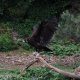 <span class='foto_uloz' id='uloz'></span>2025 - Pangolin I: letní Vánoce a výlet do zoo<span class='foto_uloz' id='galerie_odk'></span>