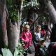<span class='foto_uloz' id='uloz'></span>2025 - Pangolin I: letní Vánoce a výlet do zoo<span class='foto_uloz' id='galerie_odk'></span>