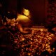 <span class='foto_uloz' id='uloz'></span>2025 - Pangolin I: letní Vánoce a výlet do zoo<span class='foto_uloz' id='galerie_odk'></span>