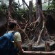 <span class='foto_uloz' id='uloz'></span>2025 - Pangolin I: letní Vánoce a výlet do zoo<span class='foto_uloz' id='galerie_odk'></span>