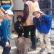 <span class='foto_uloz' id='uloz'></span>2025 - Pangolin I: letní Vánoce a výlet do zoo<span class='foto_uloz' id='galerie_odk'></span>