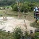 Návštěva ZOO - 2. říjen 2004