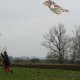 <span class='foto_uloz' id='uloz'></span>2012 - Drakiáda<span class='foto_uloz' id='galerie_odk'></span>